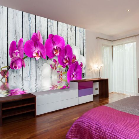 Papier Peint "Violet Orchids with Water Reflexion" 193 x 250 cm (1/2)