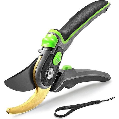 Cisailles de Jardin Professionnelles - Lames Acier Inoxydable - Pour Plantes, Rosiers, Vignes - Outil Bonsaï