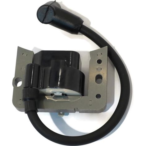 Modulo bobina di accensione a stato solido compatibile con Tecumseh 34443 34443A 34443B 34443C 34443D compatibile con LEV115 LEV120 LV148A LV195EA OVRM105 OVRM120 Eigine