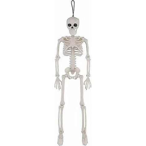 Halloween Skeleton Decoration with Movable Joints for Spooky Home Display (1/5)
