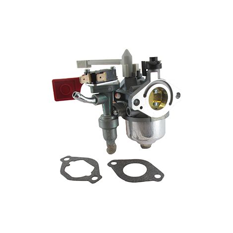 Carburateur Adaptable Pour Briggs & Stratton. Remplace Origine 595318, 798523, 799060, 84004885.