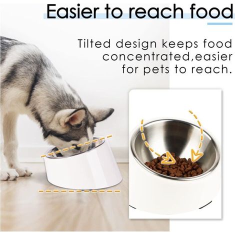 15° geneigter Hunde-/Katzennapf – auslaufsicher, überschwemmungssicher, ergonomische Höhe 13 cm, Weiß