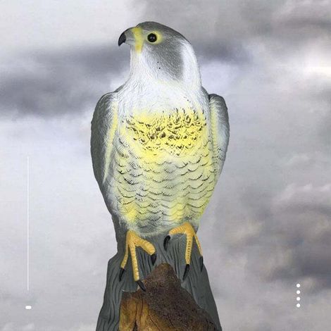 Faucon, leurre effaroucheur d'oiseaux, coloration réaliste, beige, taille unique