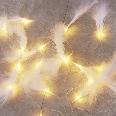 Guirlande lumineuse LED - - Plumes - 10m - 100 ampoules - Télécommande USB (1/4)