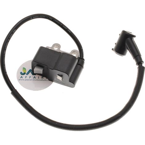 Bobine d'allumage compatible avec Echo remplace A411001621 (1/3)