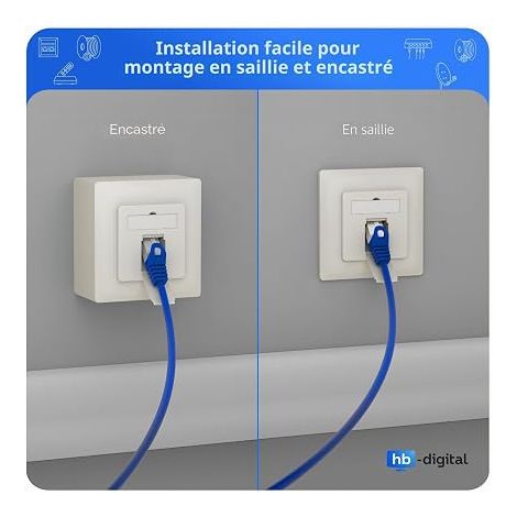 Prise réseau CAT 6a CAT 8 Prise de données universelle EIA/TIA 568A (1/4)