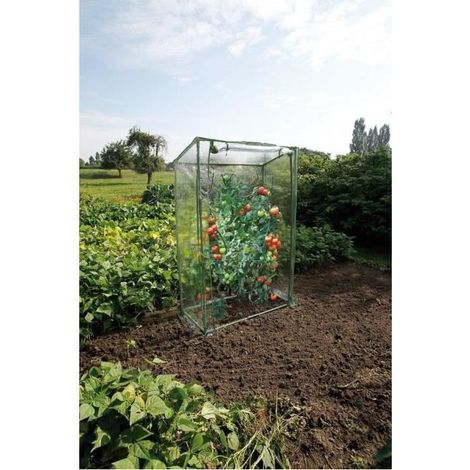 Serre à tomates 100 cm – Armature métallique 1,2 mm – Housse en polyéthylène anti-UV – Toit incliné pour évacuation de l'eau – Nature (1/8)