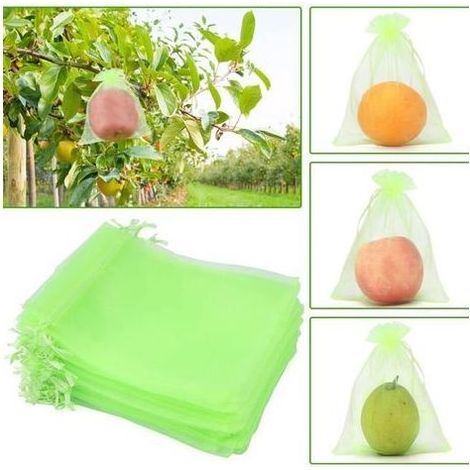 Sachet Protection Raisin,100 pieces Bag of Protection Fruits, Sachets in Organza Breathable with Cord of Tightening 15cm x 20cm for Poteger The Grappes of Raisin of Poteger and of Birds（Fruit green） (1/5)