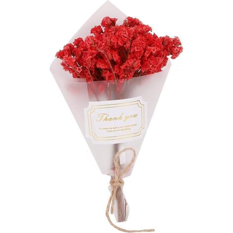 Bouquet Mini Fleurs séchées Naturelles Fleurs de Mariage Décoration Props Photo (Rouge) (1/5)