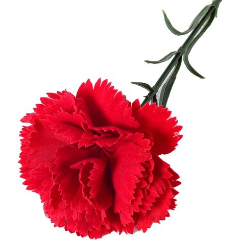 Oeillets Fleurs Artificielles Fausses Oeillets Fleurs en Soie Décorations Florales Réalistes et pour Vase Fête des Mères Anniversaires Jardin Terrasse Chambre Salon Décorations (1/5)