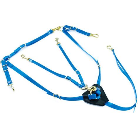 Taglia unica, Rouge: Pectoral et martingale en biothane avec boucles plaquées laiton