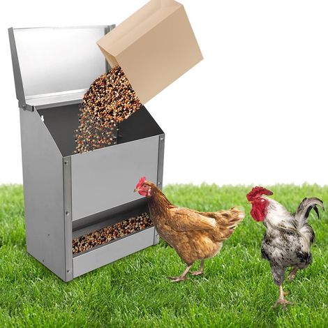 Mangeoire Automatique pour Poules - Distributeur de Nourriture en Acier Inoxydable pour Volaille, Poules, Canards et Cailles (1/5)