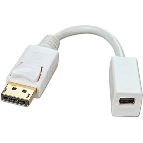LINDY 41060 DisplayPort / Mini-Display Câble adaptateur [1x DisplayPort mâle - 1x Mini port Display femelle] blanc 15.00 cm C147341 (1/4)