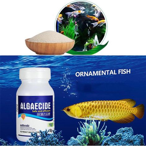 Algicide pour aquarium 50 g - Nettoyant pour eau d'aquarium (1/5)