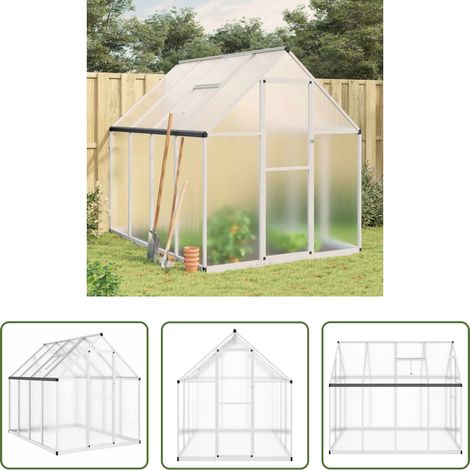 vidaXL Serre anti-froid - Serre avec cadre de base argenté 224x169x195 cm aluminium (1/5)