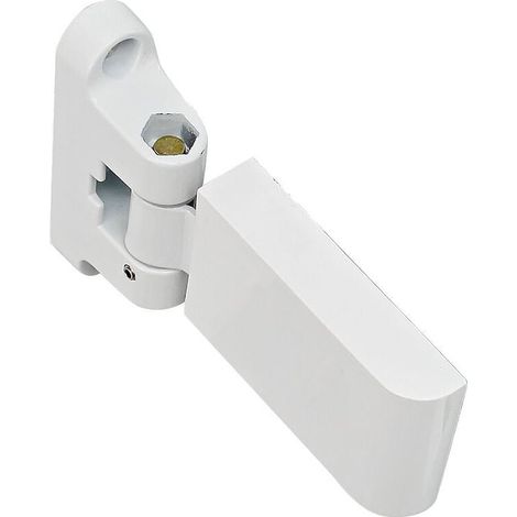 Blanc Charnière de porte drapeau, charnière de porte robuste en PVC, charnière pour porte et fenêtre en acier et plastique (Clé incluse) (1/4)