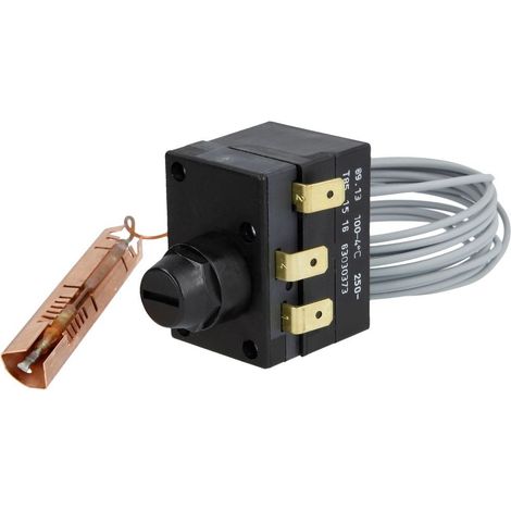Limiteur de température de sécurité 100°C - GEMINOX : 7747022529