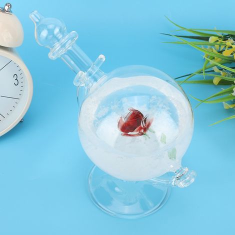 Bouteille météo globe cristal eau tempête verre décoration maison cadeau (1/5)
