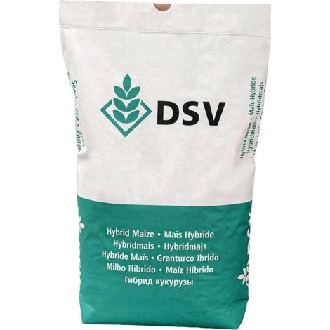 Dauerweide Standard G I pâturage permanent 10 kg emplacements frais et moyennement humides graines de pâturage, graines de graminées