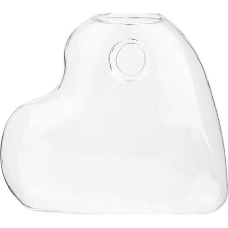 Pot à fleurs en verre et vase suspendu pour la décoration du bureau salon (1/5)
