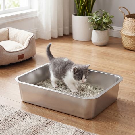 Bac à Litière pour Chats en Acier Inoxydable, Ouvert, pour Petits Chats, 40 x 30 x 10 cm, Argent (1/5)