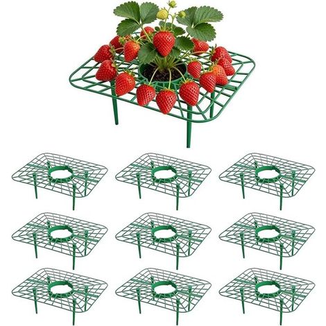 Ensemble de 10 supports à fraises, en plastique vert avec pieds, pour maintenir les fraises hors du sol et les protéger de la saleté, de la pourriture et des parasites. Idéal pour le jardin et les pot (1/2)