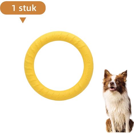 Anneau interactif pour chien résistant aux morsures, jouet d'entraînement pour Golden Retriever et Labrador, diamètre 29 cm (1/5)