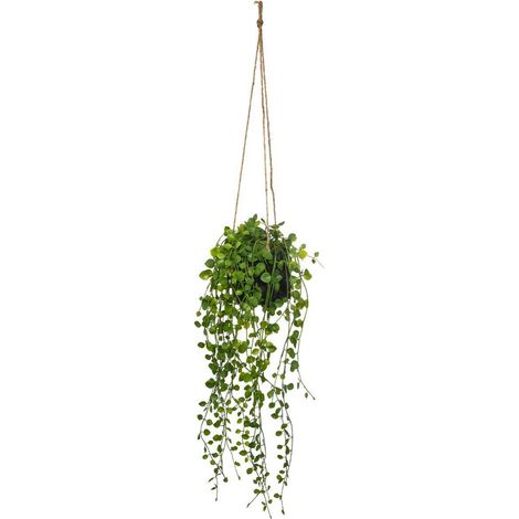 Atmosphera – Fleur artificielle Peperomia suspendue – Hauteur 62 cm – Pot en ciment Ø 10,5 cm – Effet lierre naturel pour décoration intérieure