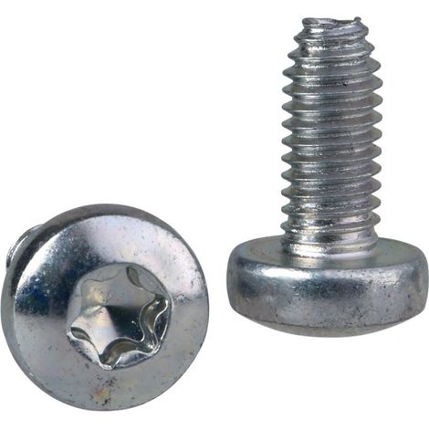 vis auto-taraudeuse torx t30 - 6.3 x 14 mm - thalassa - schneider electric nsyst30m6s (1/3)
