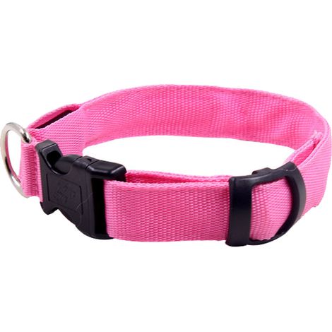 1 Collier chien, LED intégrée, Recharge USB, Nylon étanche, Promenade nocturne (1/5)