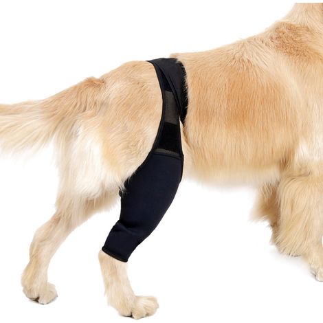 Manchon de convalescence pour chien, orthèse de soutien avant et arrière pour soulager la douleur en cas de blessure ou d'entorse (1/5)