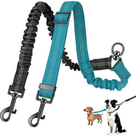 1 Laisse Double pour 2 Chiens, Nylon Résistant, Rotation 360°, Anti-enchevêtrement, Réfléchissante, Petit Moyen Grand Chien (1/4)