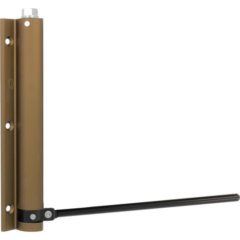 AMIG Paumelle ressort 200 190 x 180 mm Aluminium Bronze (1/5)