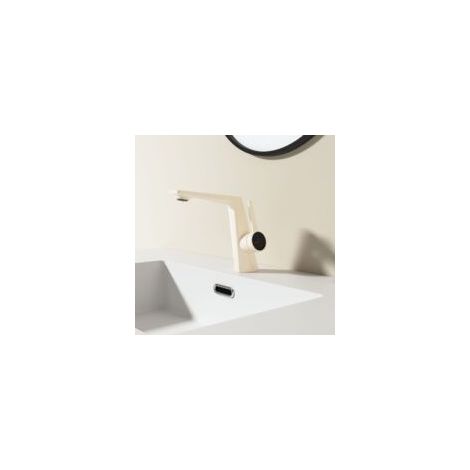 Robinet mélangeur chaud et froid avec tuyau d'eau, Crème - Crezuo (1/3)