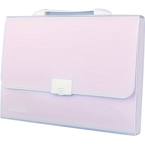 Dossier Organisateur Accordéon avec 13 Poches - Couverture Imperméable - Format A4/Lettre - Portable avec Poignée - 12 Étiquettes Incluses - Violet Clair (1/5)