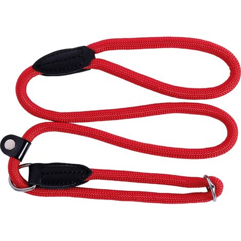 lionto Guinzaglio Retriever Guinzaglio per Cani Guinzaglio Formazione Cani, Lunghezza 120 cm Rosso (1/5)