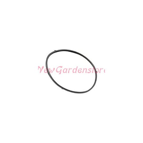 Guarnizione vaschetta per carburatore trattorino tagliaerba LONCIN 223062