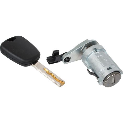 Inserto serratura porta anteriore sinistra Peugeot 307 00-05 (1/2)