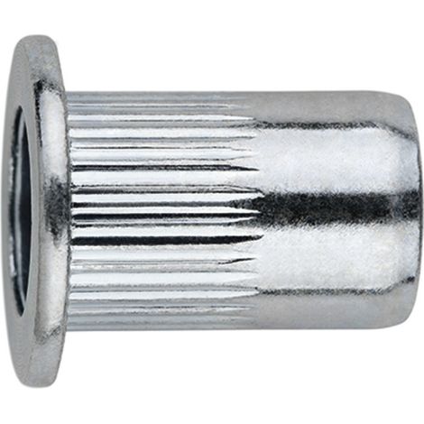 TR-CA - DADO RIVETTABILE TESTA LARGA 04X11,0 ( 500 pz.)