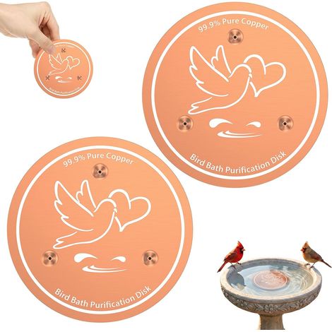 Lot de 2 disques de nettoyage pour abreuvoir à oiseaux - Plaque en cuivre pur - Pour bain d'oiseaux, arrêt des algues, nettoyage de l'eau pour fontaines, bols de jardin et bassins à oiseaux, toute (1/5)