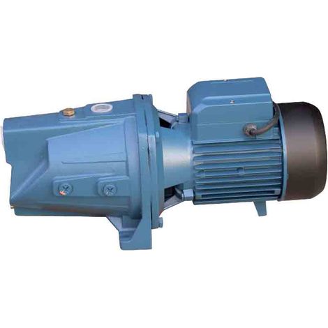 Pompe Jet fonte 1100 W (1/3)