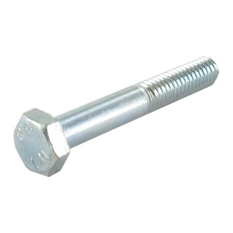 Vite testa héxagonale M6 x 40mm GGP - CASTELGARDEN 112689500/0