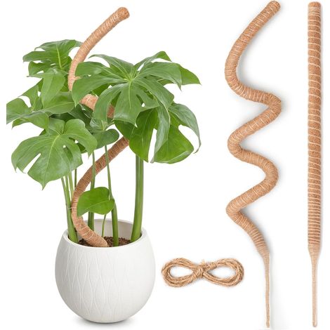 120cm x 2 Tuteur Monstera pour Plantes, kit de Poteau de Mousse Monstera pour Plantes Grimpantes, Tuteur Coco pour Plantes d'intérieur (1/5)