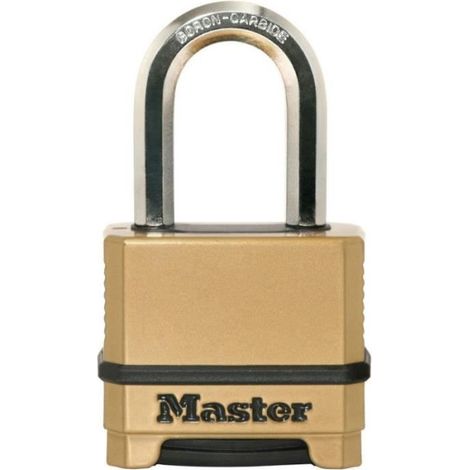 Cadenas Haute Sécurité - MASTER LOCK - M175EURDLF - Combinaison - Zinc - Anse L - Extérieur (1/5)