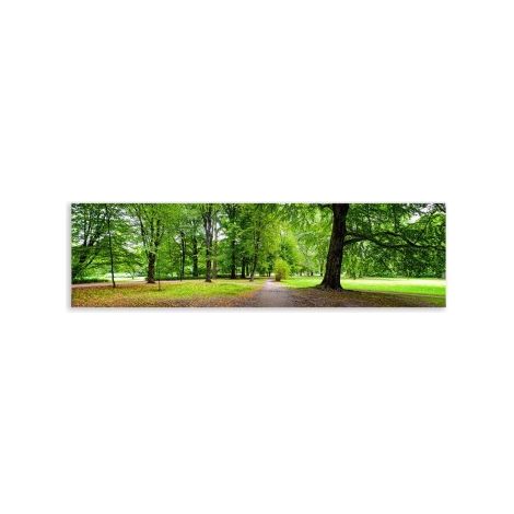 Tableau Décoratif Photo Panoramique Forêt - 180x60cm
