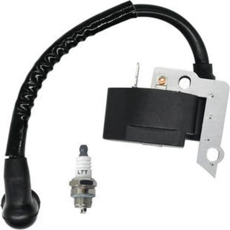 Bobine d'Allumage Haute Tension Compatible avec 850080001, PS02762, 4306401, 308064001 (1/3)