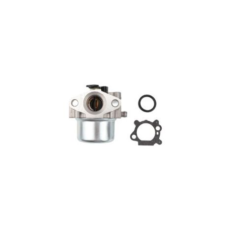 Kit de pièces détachées pour carburateur 799866,790845 pour tondeuse à gazon Briggs & Stratton