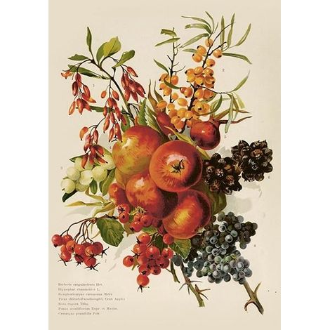 Karte ST515 B6 + Umschlag Herbststrauß