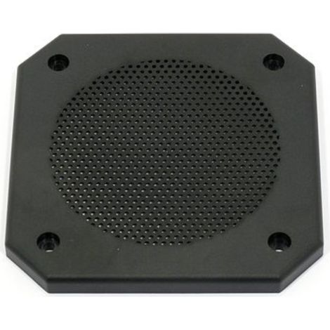 Visaton 10 PL Gitter
