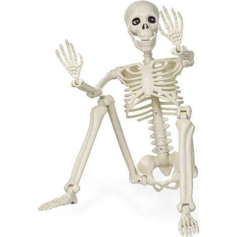 Realistic Human Skeleton Kunststoff Skeleton mit Movable Joints für Haunted Haus Dekoration 90cm als (1/5)